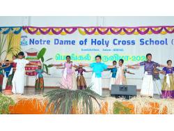 Notredame HCS
